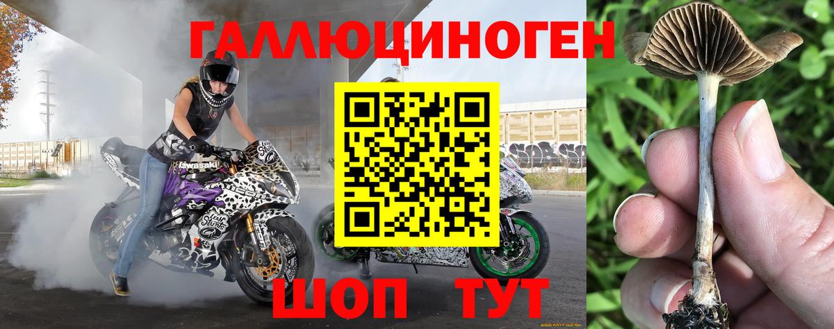 Галлюциногенные грибы ЛСД Красноперекопск