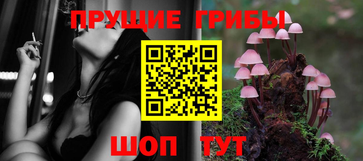 Псилоцибиновые грибы Magic Shrooms  Вход с VPN  Красноперекопск 